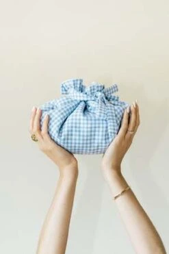 Bronze AgeGINGHAM DUMPLING BAG - SKY/Black -AGOLDE Shop GINGHAM DUMPLING BAG 20220305225618 2