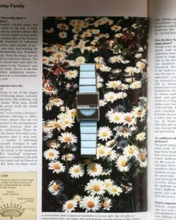 BredaPulse Tandem - Aqua 10 BredaPulse Tandem - Aqua -AGOLDE Shop Pulse Tandem in Aqua 20220924020507 2