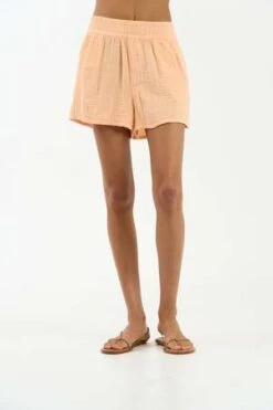 We Are SundaysFuller Shorts - Sherbet